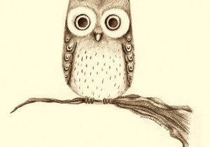300x210 cute baby owl drawing how to draw a cute snowy owl for kids - Cute Baby Owl Drawings
