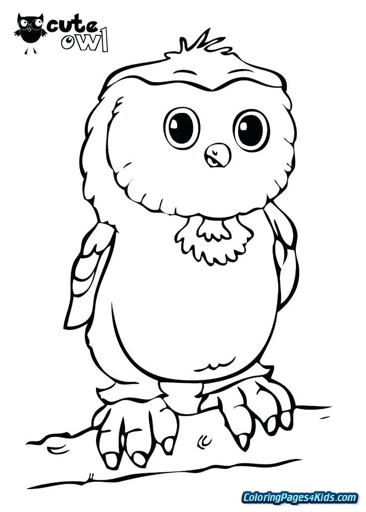 736x1030 cute owl pictures to color connect the dots to draw the cute owl - Cute Baby Owl Drawings