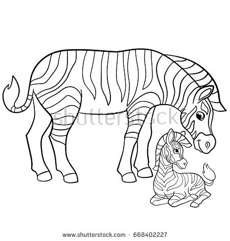 450x470 Cute Baby Zebra Drawing - Cute Baby Zebra Drawing