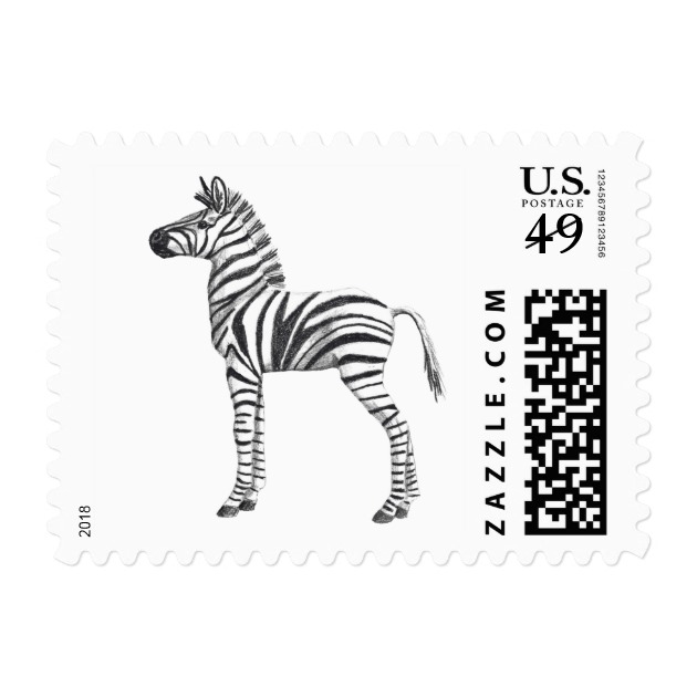 630x630 Cute Baby Zebra Drawings Best Cars - Cute Baby Zebra Drawing