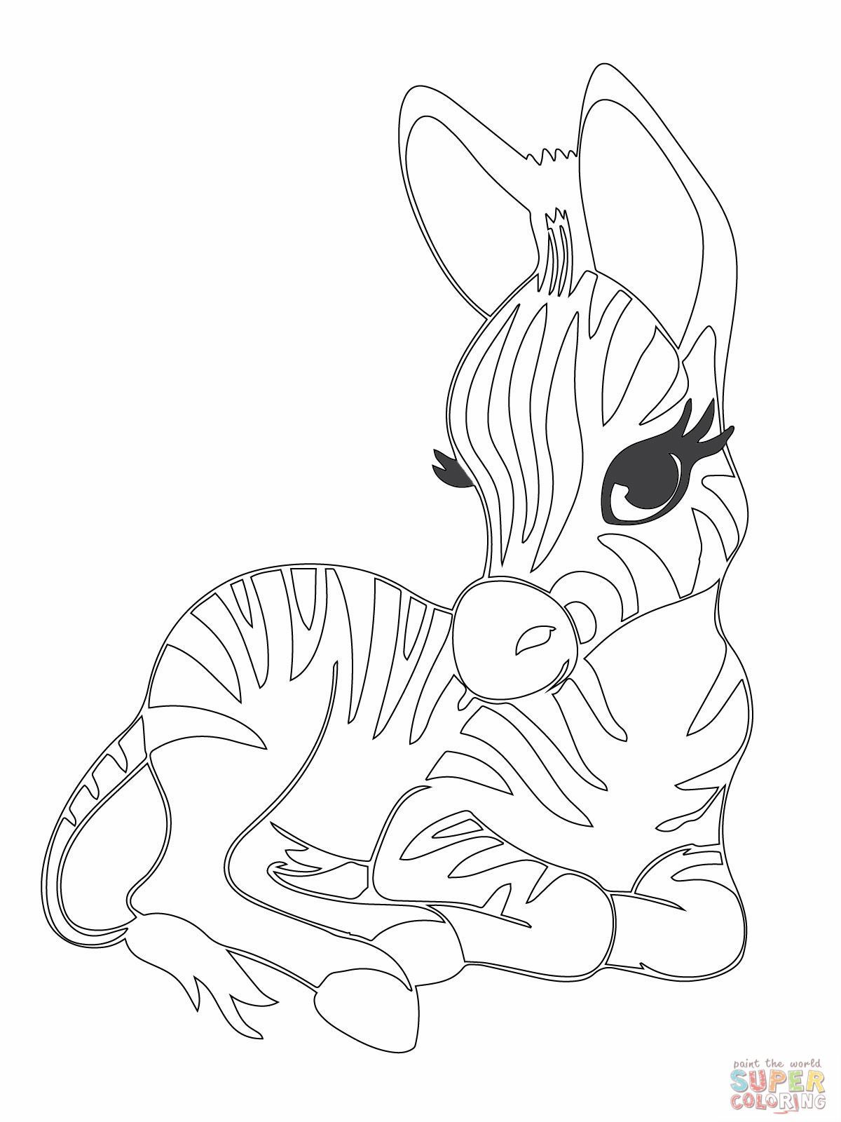 1200x1600 Cute Baby Zebra Coloring Pages Plotten Babies Adult - Cute Baby Zebra Drawing