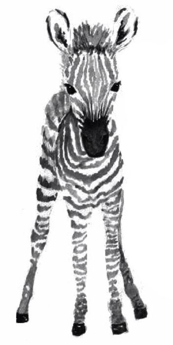 353x702 Cute Baby Zebra Tattoo Design Art In Zebra Tattoos, Zebra - Cute Baby Zebra Drawing