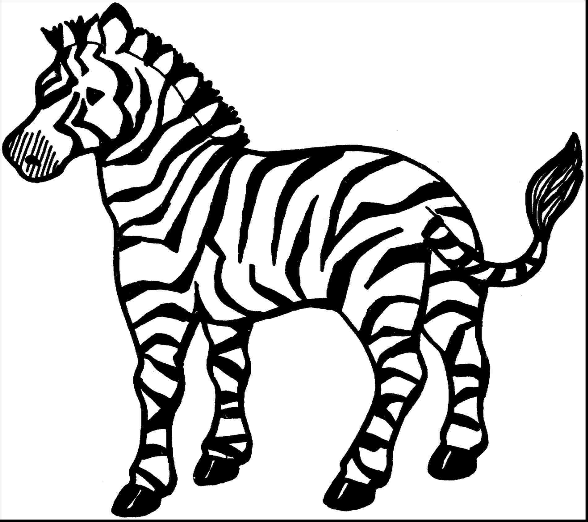 baby zebra drawing