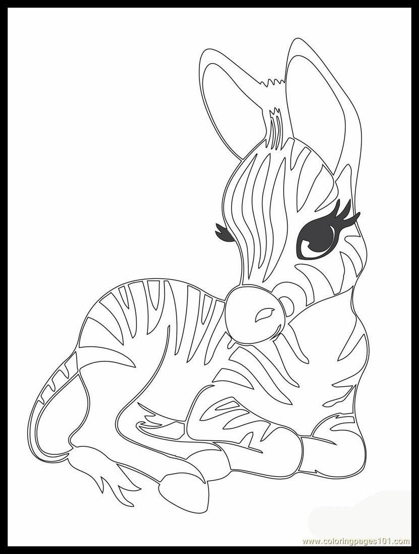 830x1096 Astonishing Cute Baby Zebra Coloring - Cute Baby Zebra Drawing