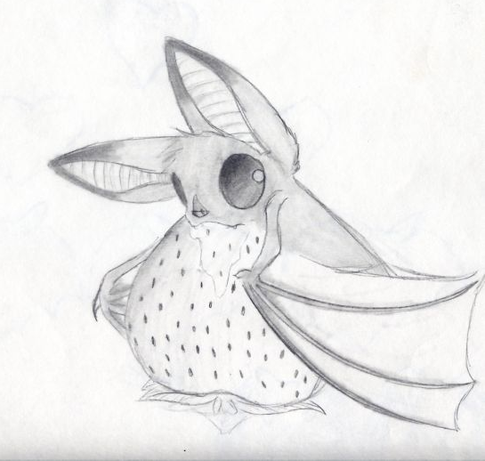 545x518 Cute Fruit Bat Drawing - Cute Bat Drawing