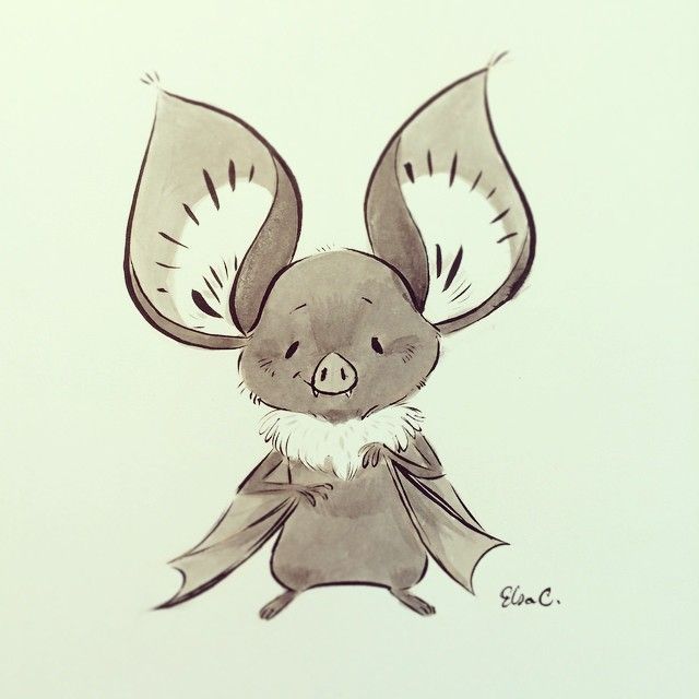 640x640 Little Bat' - Cute Bat Drawing