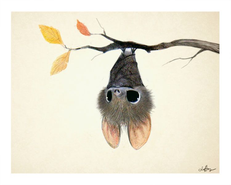 750x600 Overwhelmingly Cute Animal Illustrations - Cute Bat Drawing