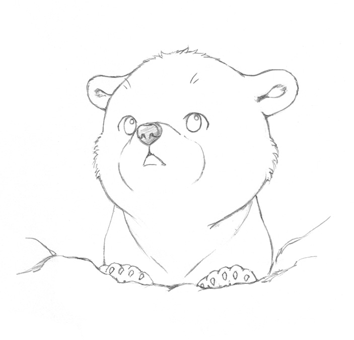703x674 Cute Polar Bear Drawing - Cute Bear Drawing