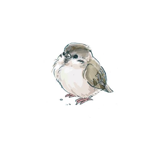 500x465 If You Are A Bird In Artverbage Drawings, Art, Bird Art - Cute Bird Drawing