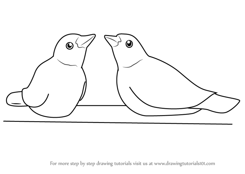 800x567 Learn How To Draw Cute Birds - Cute Bird Drawing