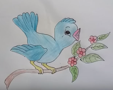 370x297 How To Draw A Simple Cute Bird Archives - Cute Bird Drawing
