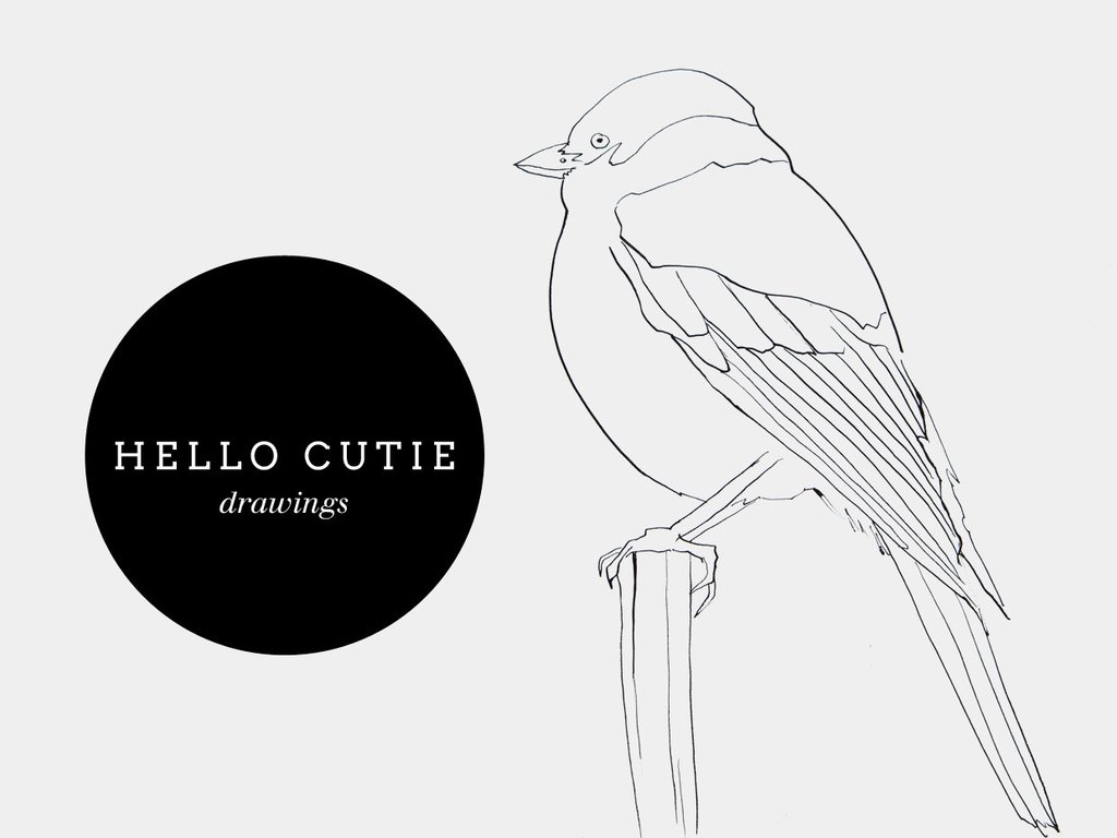 1024x768 Currently Working On Cute Bird Drawings Eve Sand - Cute Bird Drawing