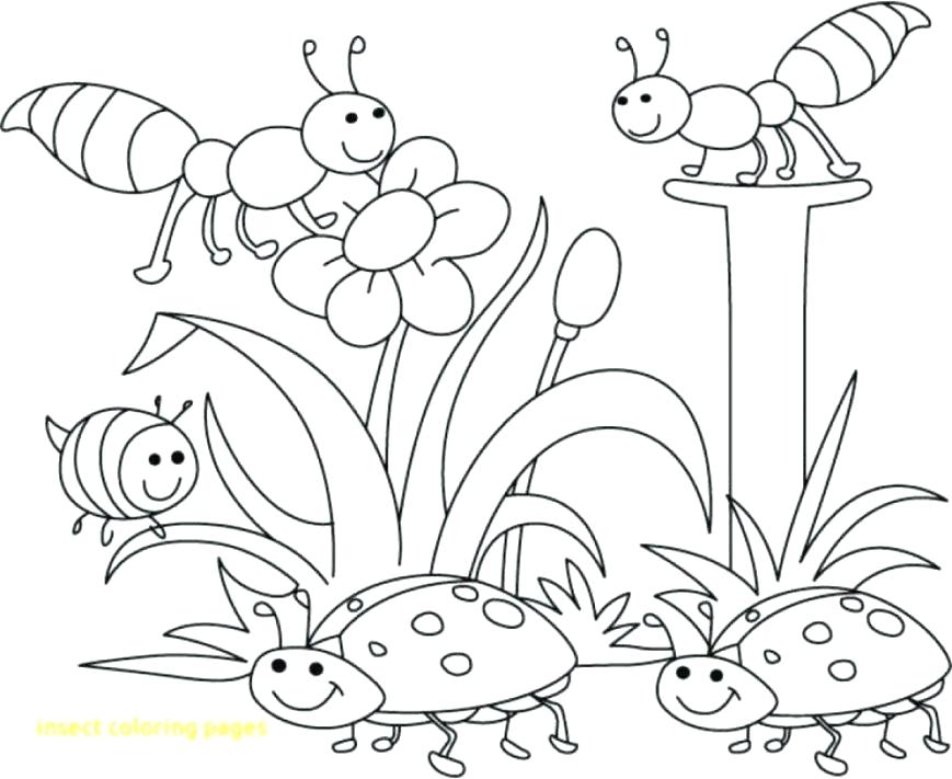 52 Top Cute Bugs Coloring Pages  Images