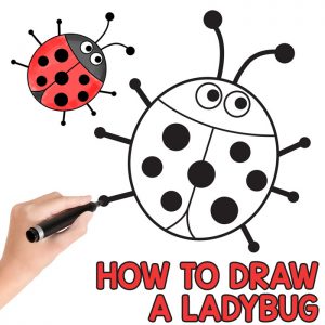 300x300 How To Draw Bugs Archives - Cute Bug Drawing