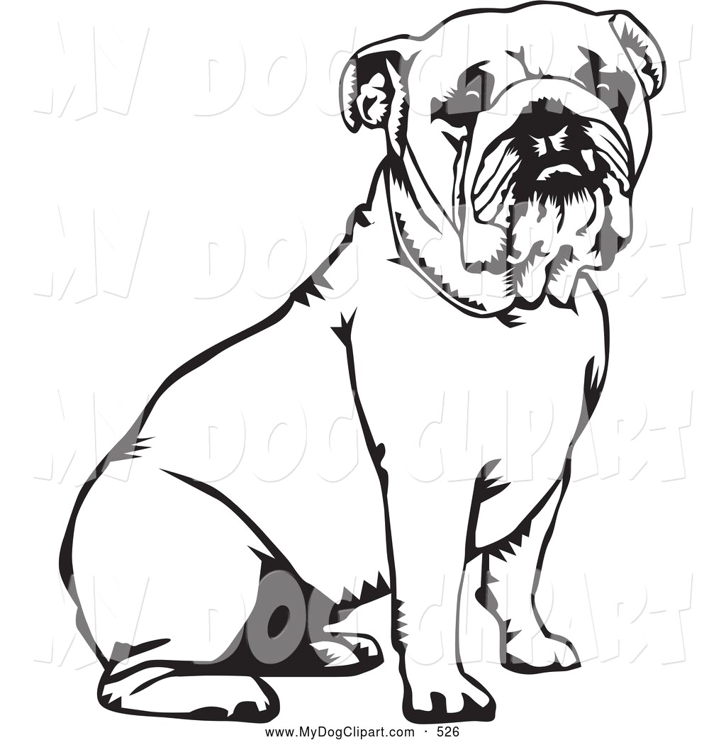 1024x1044 Cute Bulldog Clipart - Cute Bulldog Drawing