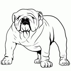 236x236 best bulldogs drawing images in english bulldogs - Cute Bulldog Drawing