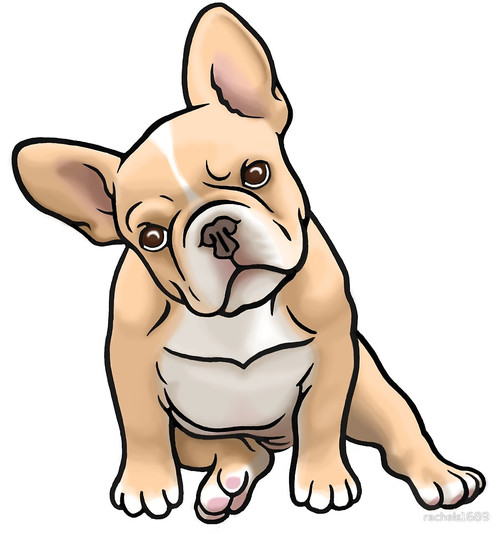 500x534 frenchie - Cute Bulldog Drawing