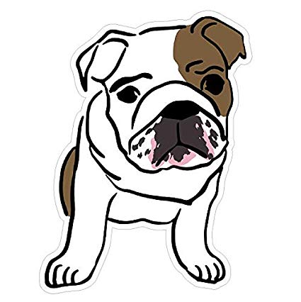 425x426 English Bulldog Cute Decal Sticker Custom Die Cut - Cute Bulldog Drawing