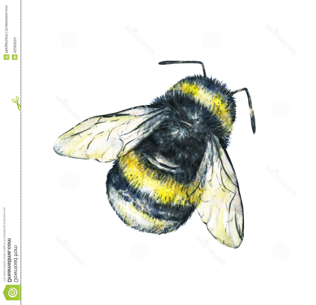 Cute Bumble Bee Drawing at Explore collection of