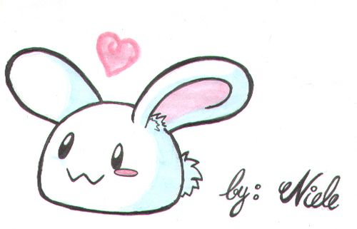 500x321 Cute Bunny Drawing - Cute Bunny Drawing