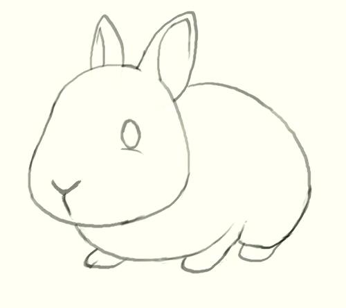 500x444 How To Draw A Rabbit And How To Draw A Rabbit Bunny Drawing Draw - Cute Bunny Drawing Step By Step