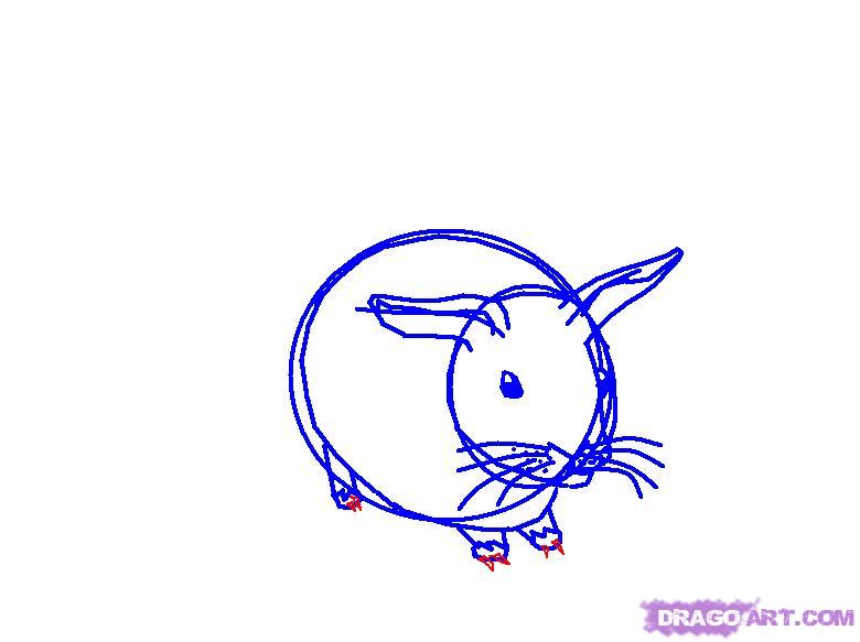 780x583 How To Draw A Cute Bunny, Step - Cute Bunny Drawing Step By Step