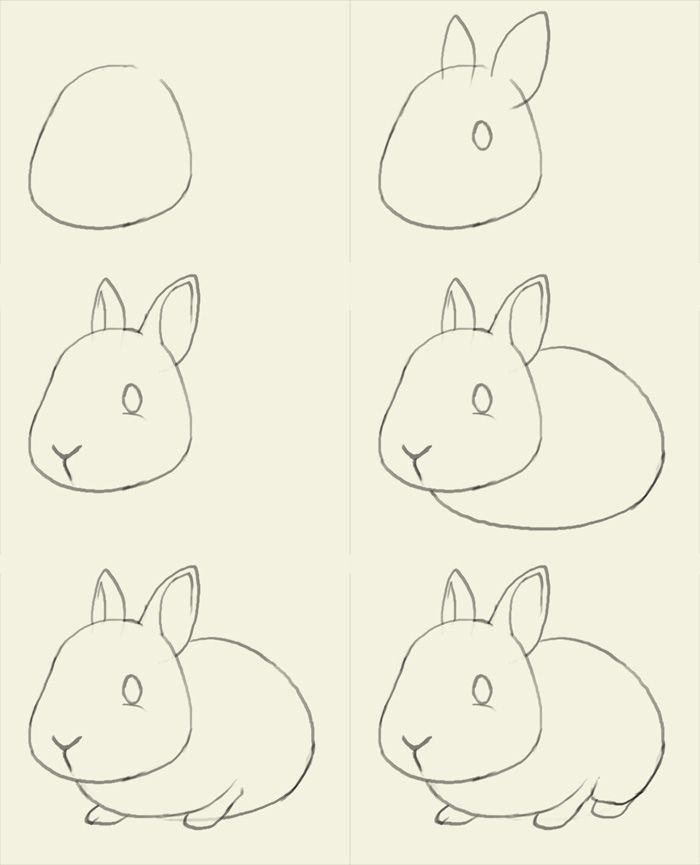 700x865 how to draw bunny learn to draw a cute bunny step - Cute Bunny Drawing Step By Step