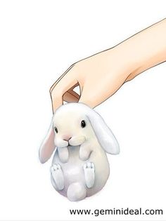 236x315 How To Draw A Bunny Step - Cute Bunny Rabbit Drawing