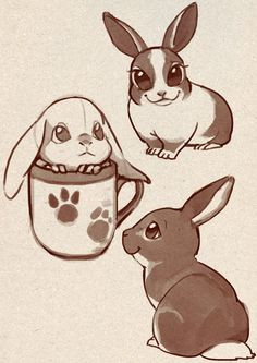 236x333 How To Draw A Cute Bunny Inspirational Best Rabbit Drawings - Cute Bunny Rabbit Drawing