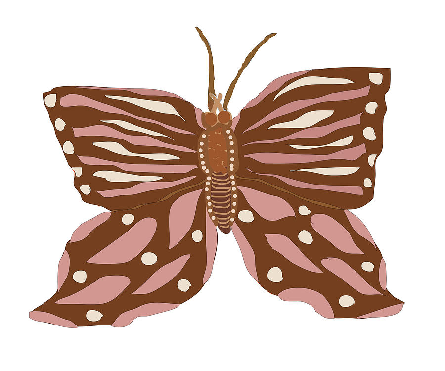 Cute Butterfly Drawing at PaintingValley.com | Explore collection of ...