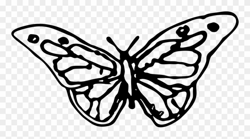880x488 Cute Butterfly Line Drawing Buy Clip Art - Cute Butterfly Drawing