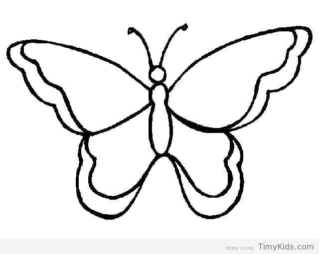 640x510 Butterfly Drawing Cute For Free Download - Cute Butterfly Drawing