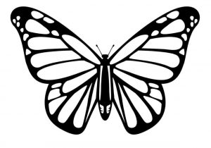 300x210 Easy To Draw Cute Butterfly - Cute Butterfly Drawing