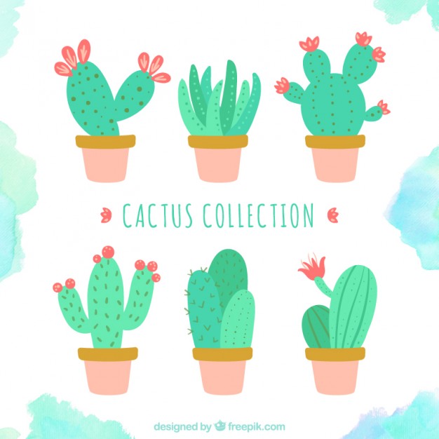 626x626 Cute Cactus Collection Stock Images - Cute Cactus Drawing