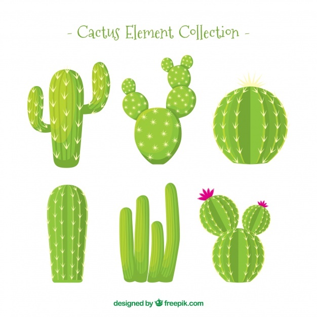 626x626 Cactus Vectors, Photos And Free Download - Cute Cactus Drawing