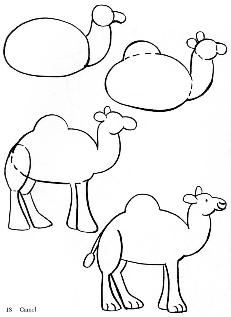 793x1087 Cute Camel Drawing - Cute Camel Drawing