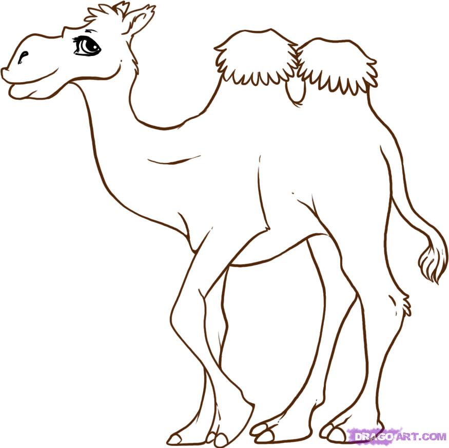 875x872 Drawing Of Animal Camel In Desert Clip Art - Cute Camel Drawing