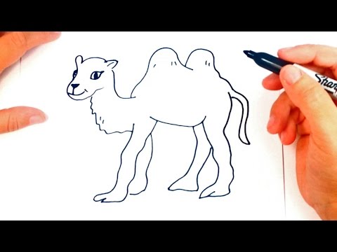 480x360 how to draw a camel camel easy draw tutorial - Cute Camel Drawing