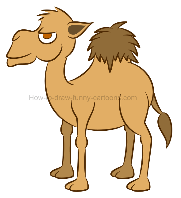 590x647 How To Draw A Camel Cartoon Illustration - Cute Camel Drawing