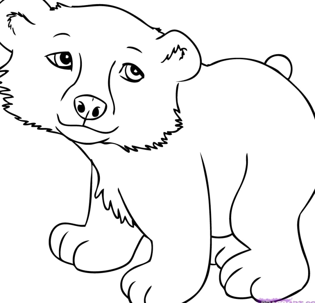 1063x1023 Cute Cartoon Animals Drawing Cartoons Drawings - Cute Cartoon Animals Drawing