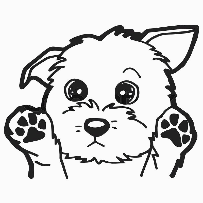 800x800 Cute Cartoon Dog Drawing - Cute Cartoon Dog Drawings