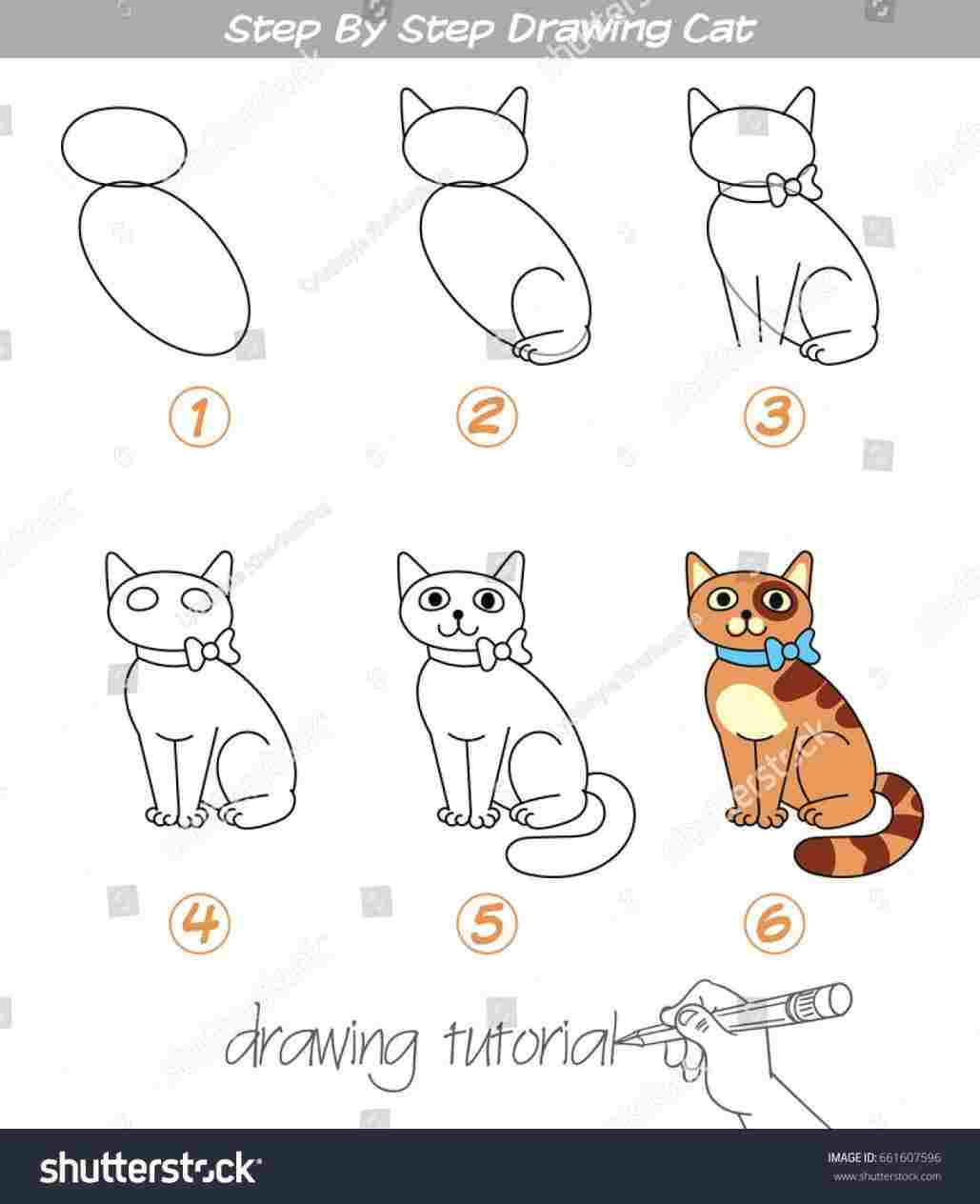 Cute Cat Cartoon Drawing At Paintingvalley Com Explore