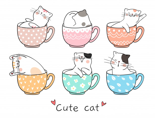 626x481 Draw Cute Cat Sleeping In Cup Of Tea Vector Premium Download - Cute Cat Drawing