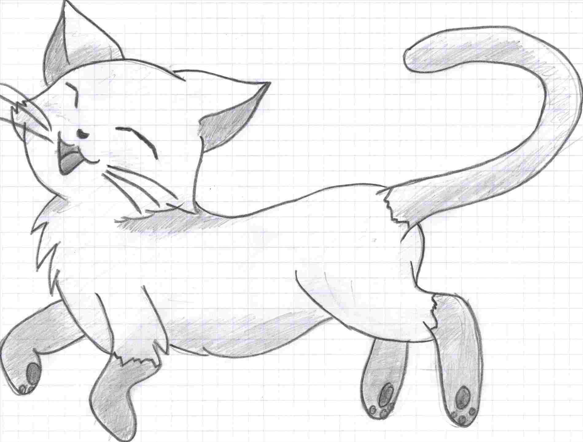 Cute Cat Drawing Easy at Explore