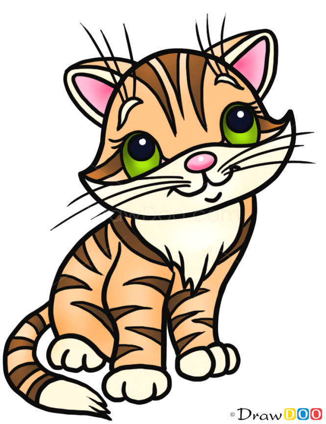 665x865 cute cat drawing easy how to draw a cat cats and kittens how to draw - Cute Cat Drawing Easy