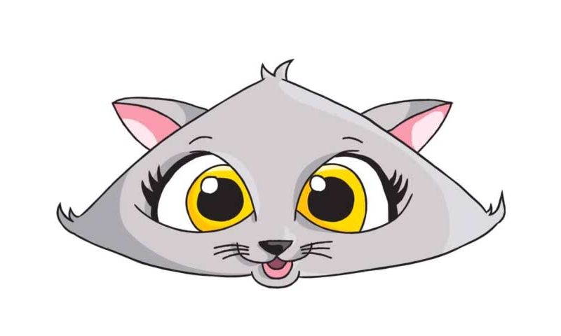 800x480 Cute Cat Drawings - Cute Cat Drawing Easy