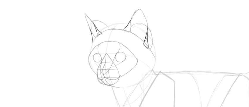 850x366 How To Draw A Super Cute Kitten Step - Cute Cat Drawing Step By Step