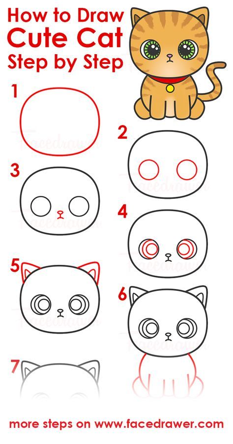474x902 learn how to draw cat today you can learn how to draw cute cat - Cute Cat Drawing Step By Step