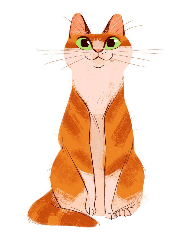 800x1000 Cats On Behance - Cute Cat Drawing Tumblr