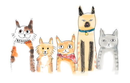 500x318 Cat Drawing Via Tumblr On We Heart It - Cute Cat Drawing Tumblr